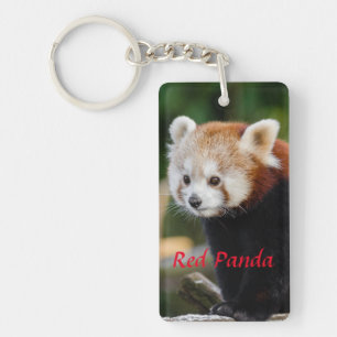 Porte-clefs Photo de Panda roux mignon