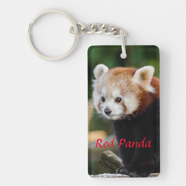 Porte-clefs Photo de Panda roux mignon (Devant)