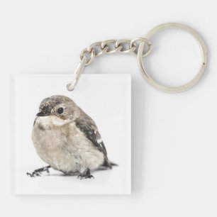 Porte-clefs Photo de petit oiseau brun de jardin