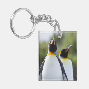 Porte-clefs Photo de pingouins roi Fiers