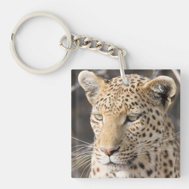 Porte-clefs Photo de portrait léopard (Devant)