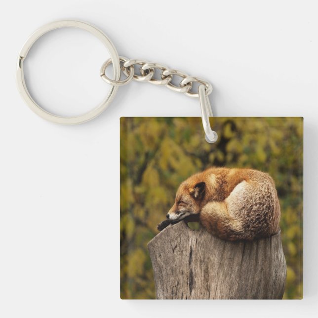 Porte-clefs Photo de renard dormant (Devant)