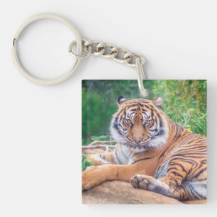 Porte-clefs Photo de tigre étonnante