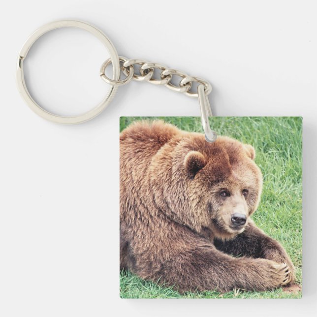 Porte-clefs Photo d'ours Brown (Devant)