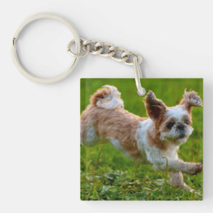 Porte-clefs Photo mignonne tournant Chien Shih Tzu