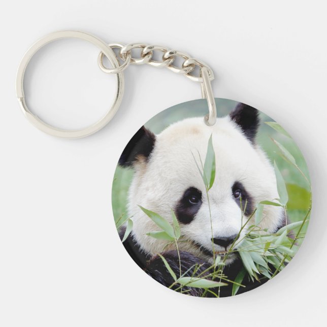 Porte-clefs photo porte - clé géant panda 0061. (Devant)