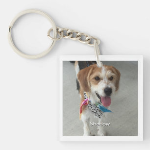 Porte-clefs Photo pour animaux de compagnie ou photo et nom de