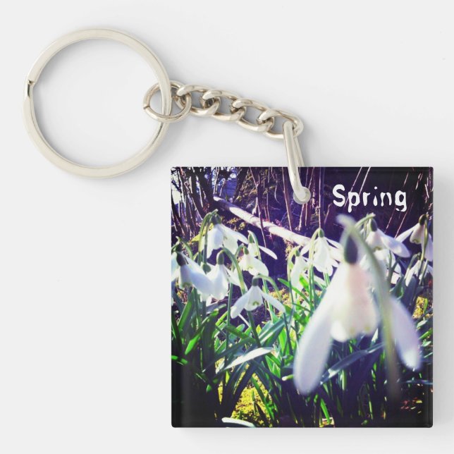 Porte-clefs Photo Snowdrops par River Severn / Hafren (Devant)