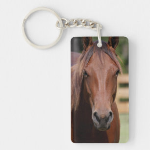 Porte-clefs Photographie de cheval sur porte - clé