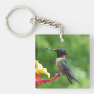 Porte-clefs Photographie d'oiseau Colibri à gorge rubis