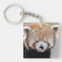 photographie porte - clé panda rouge.