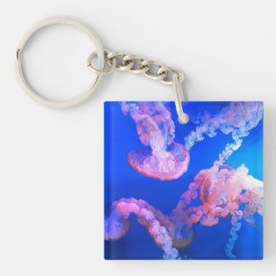 Porte-clefs Photos aquatiques nautiques Photographie d'animaux