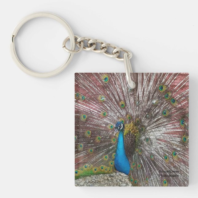 Porte-clefs Pic (Devant)
