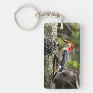 Porte-clefs Pic à ventre rouge