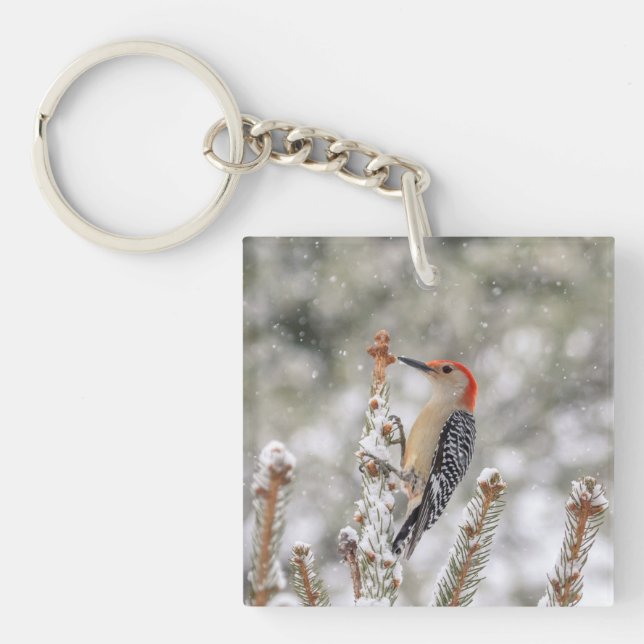 Porte-clefs Pic à ventre rouge dans la neige (Devant)