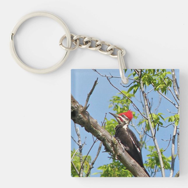 Porte-clefs Pic pilé (Devant)