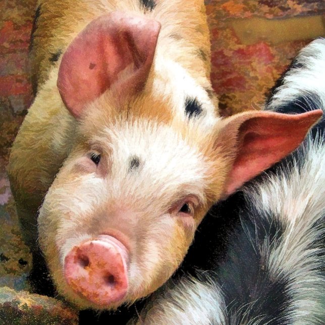 PORTE-CLEFS PIG (Créateur téléchargé)