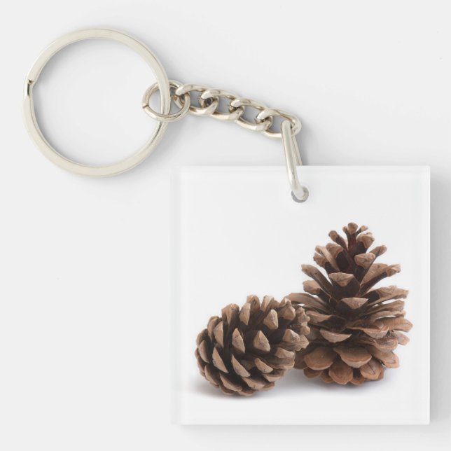 Porte-clefs Pinecones (Devant)