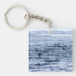 Porte-clefs Pingouin volant