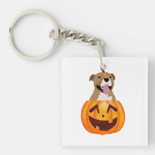 Porte-clefs Pitbull Halloween