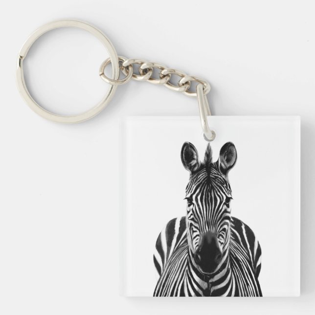 Porte-clefs Plan de sauvegarde III (Devant)