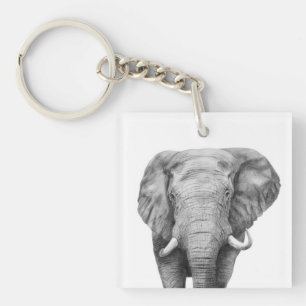 Porte-clefs Plan de sauvegarde IV