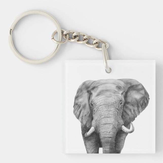 Porte-clefs Plan de sauvegarde IV (Devant)