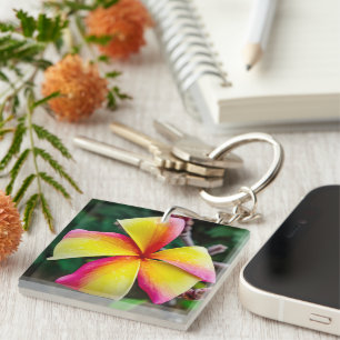 Porte-clefs Plumeria rubra