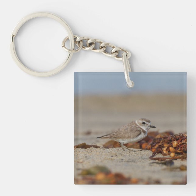 Porte-clefs Pluvier et algues (Devant)