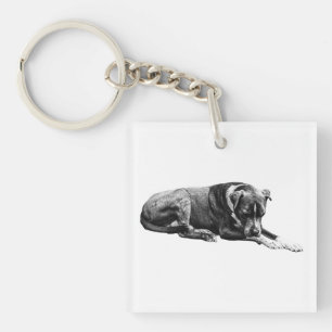 Porte-clefs Pocket Lounge Chien Porte - clé
