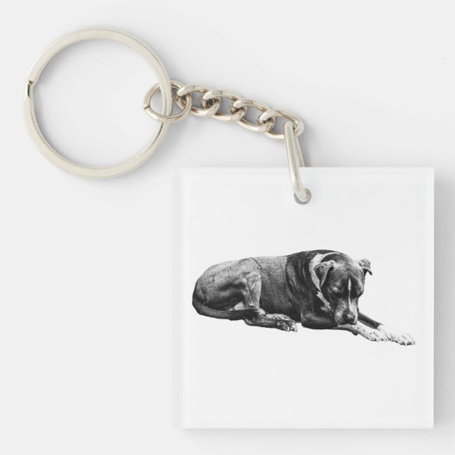 Porte-clefs Pocket Lounge Chien Porte - clé (Devant)