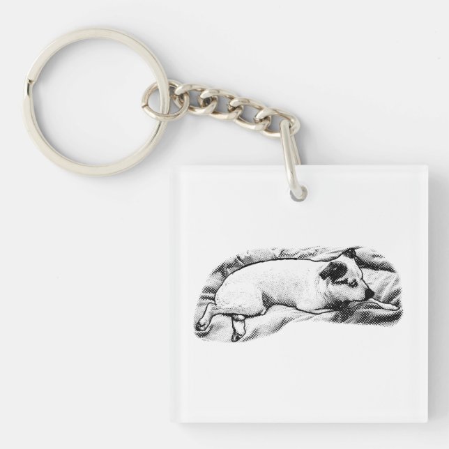Porte-clefs Pocket Pup avec Speckles Festifs (Devant)