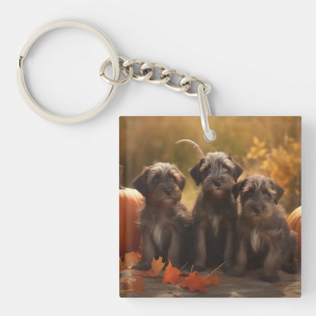 Porte-clefs Pointeur à poils durs Griffon Puppy Automne (Devant)