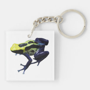 Porte-clefs Poison grenouille