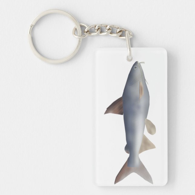 Porte-clefs Poisson-chat tacheté (Devant)