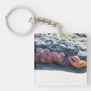 Porte-clefs Poisson étoilée colorée à Bob Creek, OU