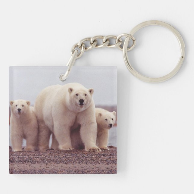 Porte-clefs Polar Bear Family Mother and Cubs Photo (Dos)