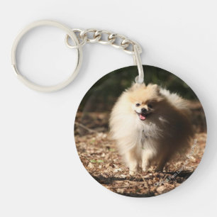 Porte-clefs Pomeranian trottant dans le feuille tombé
