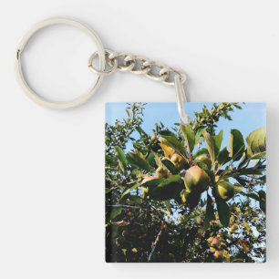 Porte-clefs Pommes