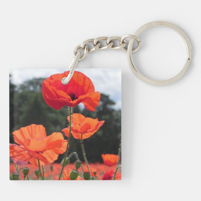 Porte-clefs Poppy Field, beautiful blooms, (Dos)