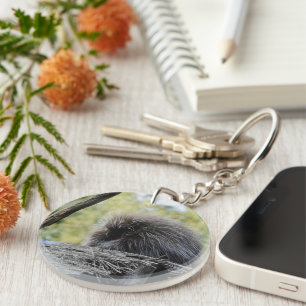 Porte-clefs Porc-épic arboricole