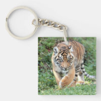Porte - clé acrylique photo chat tigre.