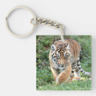 Porte-clefs Porte - clé acrylique photo chat tigre.