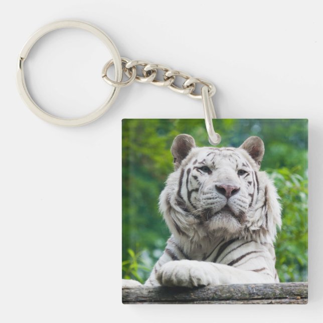 Porte-clefs Porte - clé blanc de tigre (Devant)