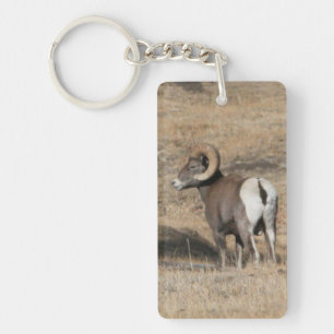 Porte-clefs Porte - clé d'acrylique de RAM de Big Horn