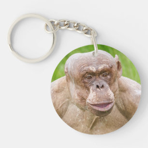 Porte-clefs Porte - clé d'aimant Chimpanzé sans cheveux