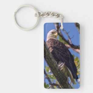 Porte-clefs Porte - clé de Bald Eagle