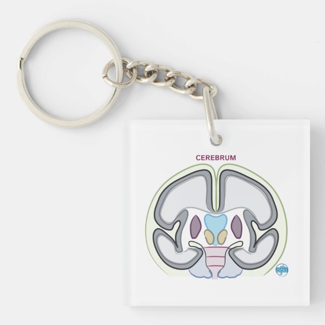 Porte-clefs Porte - clé de Cerebrum DITKI (Devant)