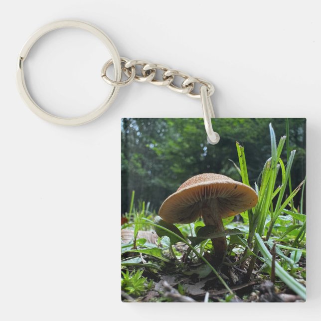 Porte-clefs Porte - clé de champignons (Devant)