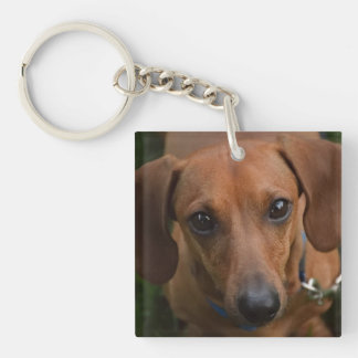 Porte-clefs Porte - clé de Dachshund